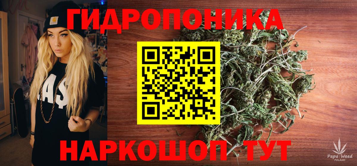 Шишки марихуана Amnesia  Бошки марихуана планчик  Вход с VPN  Псков  Бошки марихуана планчик  МАРИХУАНА план 